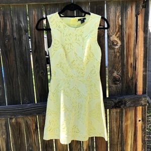 H&M Lace Dress